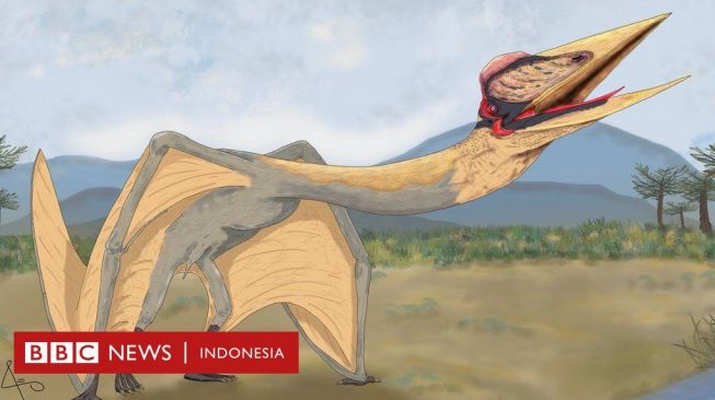 Fosil Reptil Terbang "Naga Kematian" Ditemukan di Argentina