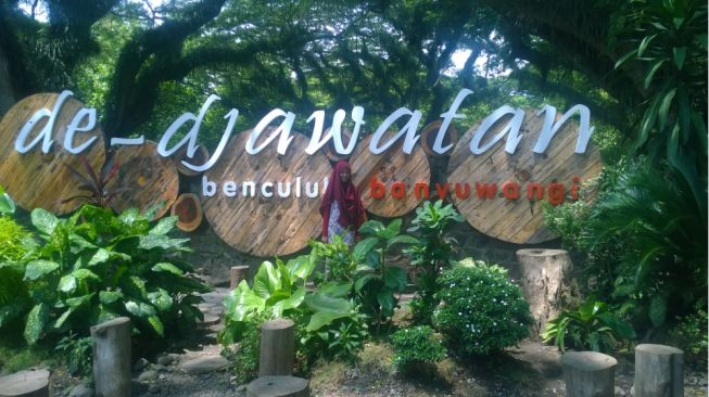 Destinasi Wisata Hutan Kuno Djawatan Benculuk Banyuwangi, Serasa Masuk ke Dunia Lain