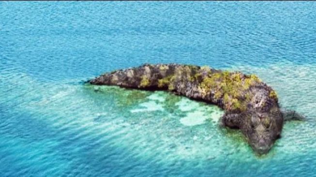 Populer Lifestyle: Tes Kepribadian Tebak Gambar Pulau atau Buaya, Cara Aman Berenang di Sungai