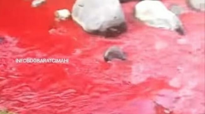 Air Sungai Citarum tiba-tiba berubah warna jadi merah darah (Instagram/ @infobdgbaratcimahi).