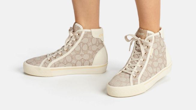 coach hi top