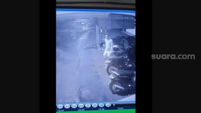 Terekam CCTV, Pria Ini Tidak Sadar Injak Ular di Samping Sepeda Motor Sampai Digigit