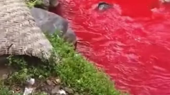 Air Anak Sungai Citarum Berwarna Merah, Butuh Waktu Cukup Lama untuk Mengetahui Penyebabnya