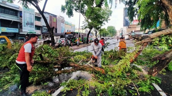 Pohon Tumbang Timpa Mobil di Jalan Gatot Subroto Medan, Arus Lalu Lintas Macet