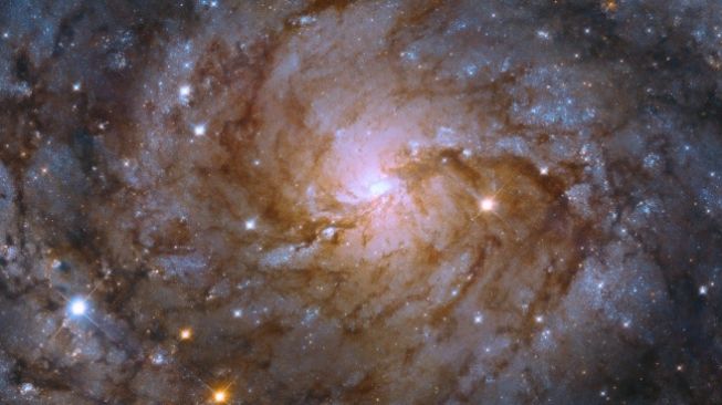 Galaksi spiral IC 342 atau Caldwell 5. [NASA]