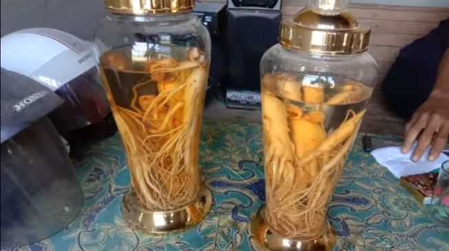 Manfaat Gingseng Bagi Kesehatan Tubuh, Salah Satunya Mengurangi Peradangan