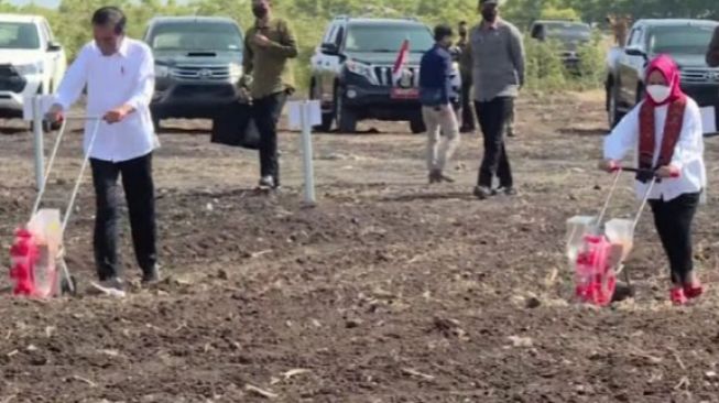 Harga Sepatu Iriana Jokowi saat Bajak Sawah di NTT Bikin Melongo, Belasan Juta?