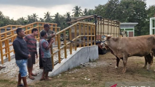 Berupaya Cegah Penyebaran Penyakit Mulut dan Kuku, DPP Kulon Progo Akui Kesulitan Awasi Lalu Lintas Hewan Ternak