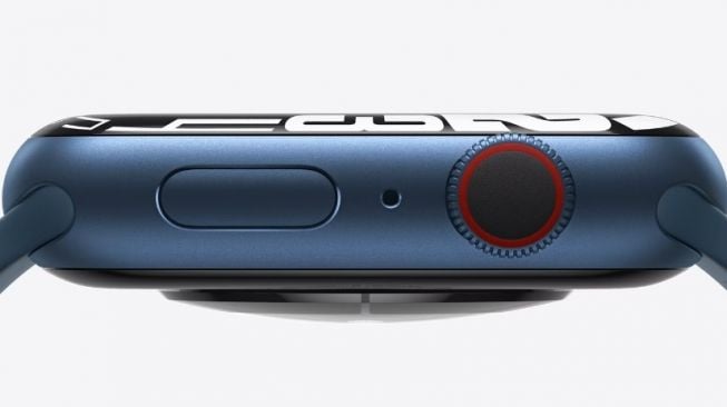 Paten Apple Watch. [Independent]