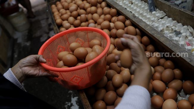 Pembeli memilih telur ayam di salah satu kios di Pasar Minggu, Jakarta, Minggu (5/6/2022). [Suara.com/Angga Budhiyanto]