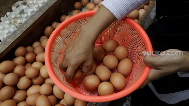 Pembeli memilih telur ayam di salah satu kios di Pasar Minggu, Jakarta, Minggu (5/6/2022). [Suara.com/Angga Budhiyanto]