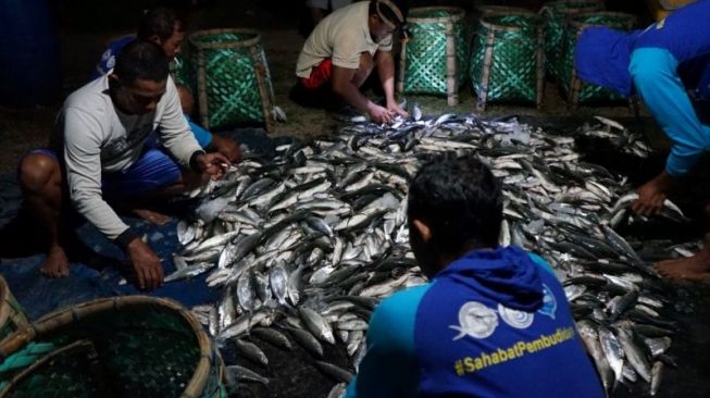 Akibat Banjir Rob, Petambak Bandeng di Jepara Rugi Ratusan Juta