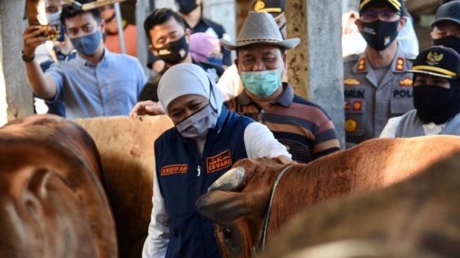 Pemprov Jatim Siapkan 1.276 Juleha Buat Sembelih Hewan Qurban Saat Idul Adha