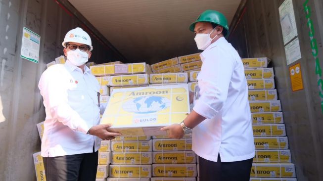 Bulog Pastikan Daging Kerbau Impor dari India Bebas dari PMK