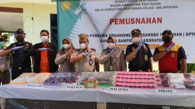 Tak Punya Dokumen Lengkap, Karantina Pertanian Balikpapan Musnahkan Benih Tanaman Ini