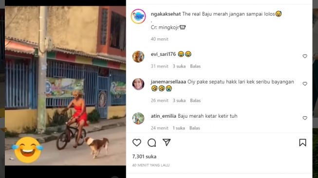 Menegangkan, Detik-detik Waria Berbaju Merah Dikejar Anjing Sampai Terbirit-birit