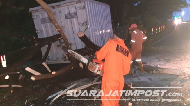 Truk Hantam Pohon hingga Tumbang, Arus Lalu Lintas Situbondo- Probolinggo Sempat Tersendat