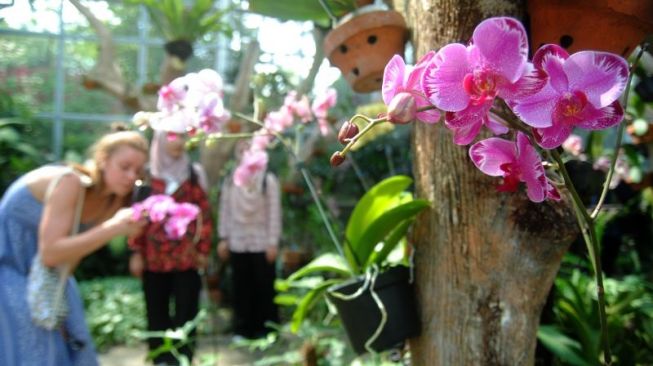 Riset Teknologi Perbanyakan Tumbuhan Cegah Kepunahan