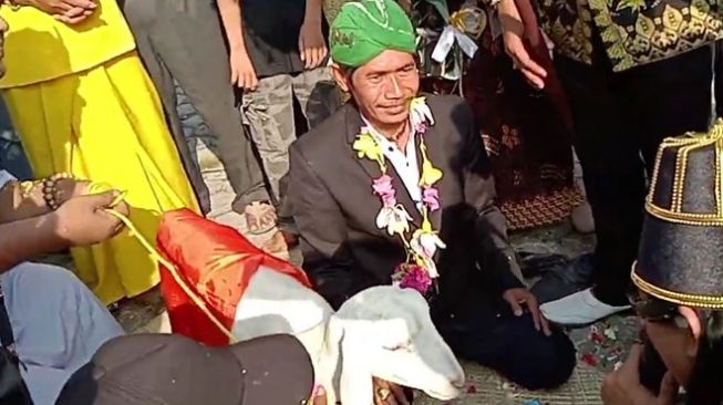 Pakar: Ritual Pria Gresik Menikahi Kambing Terindikasi Pidana Penistaan Agama