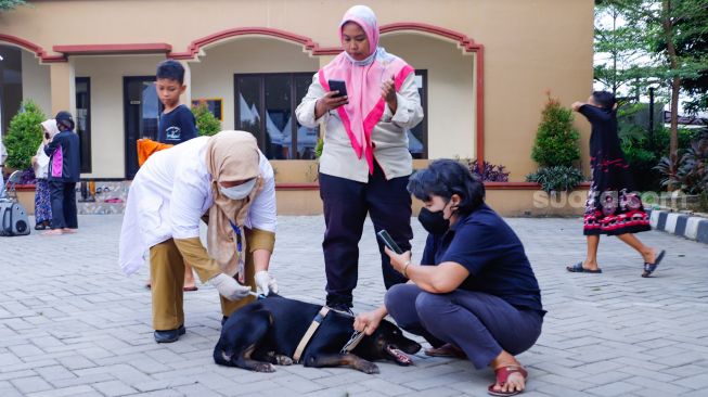 Petugas menyuntikkan vaksin rabies kepada sejumlah hewan peliharaan milik warga di Kantor Kecamatan Duren Sawit, Jakarta Timur, Selasa (7/6/2022). [Suara.com/Alfian Winanto]