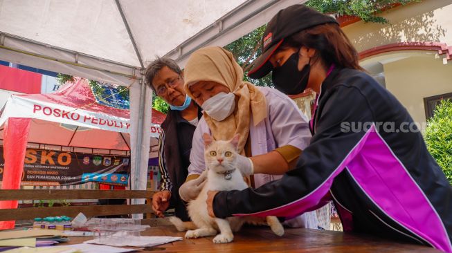 Petugas menyuntikkan vaksin rabies kepada sejumlah hewan peliharaan milik warga di Kantor Kecamatan Duren Sawit, Jakarta Timur, Selasa (7/6/2022). [Suara.com/Alfian Winanto]