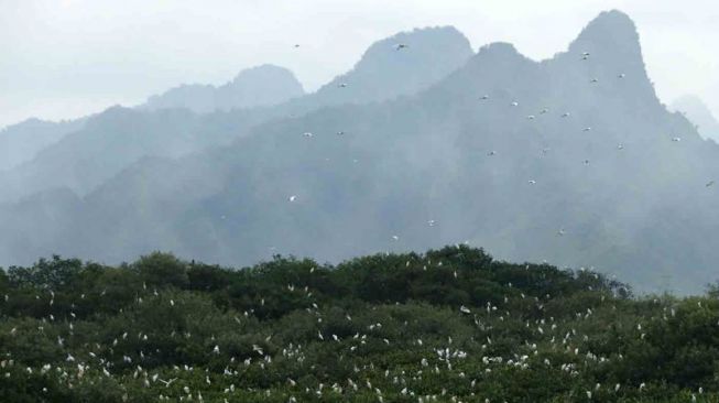 BRIN: Hutan Keramat Warisan Kearifan Lokal yang Bermanfaat untuk Konservasi