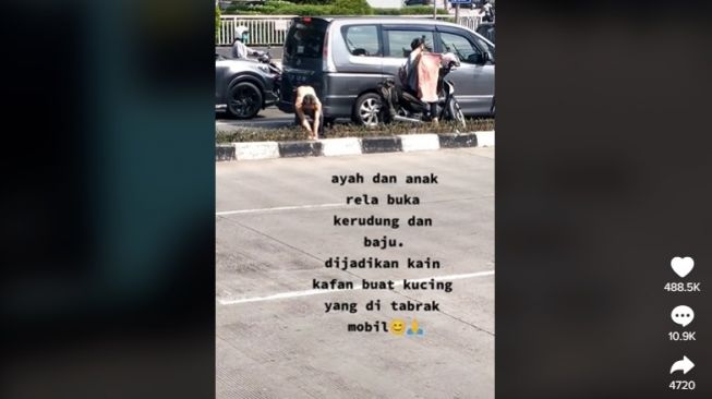 Aksi ayah dan anak bungkus bangkai kucing di jalan, tuai pujian. [TikTok]