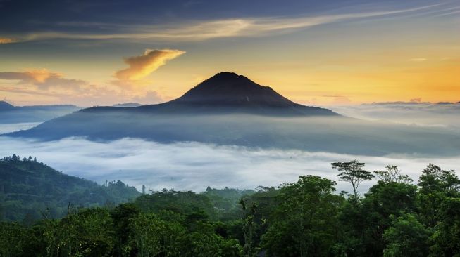 Prinsip Petani Bali Saat Menanam Kopi Kintamani di Dataran Tinggi