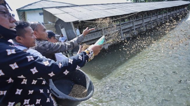 Dongkrak Ekonomi Kreatif, Relawan Sahabat Sandi Uno Gelar Pelatihan Budidaya Ikan dan Pakan Mandiri