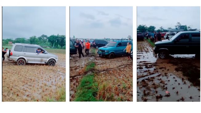 Viral Puluhan Mobil Isuzu Panther 'Kopdar' di Tengah Sawah, Sebabnya Tak Terprediksi