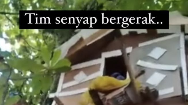 Bangun Rumah di Atas Pohon, Gelandangan di Pontianak Digerebek Satpol PP: Yang Jaga Sini Kah?