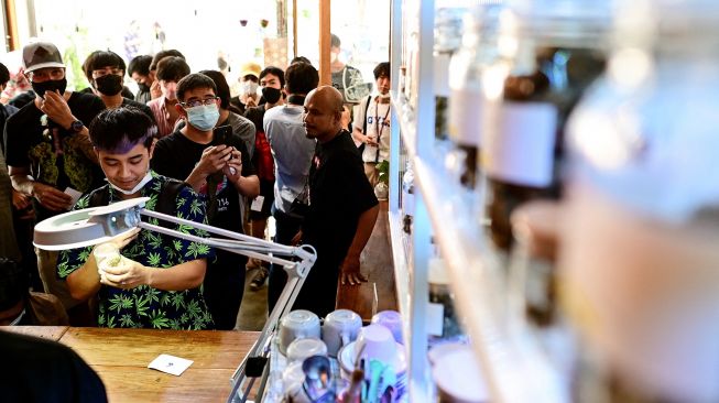 Thailand Resmi Legalkan Ganja, Pembeli Antre Beli Minuman Ekstrak Hingga Permen Ganja