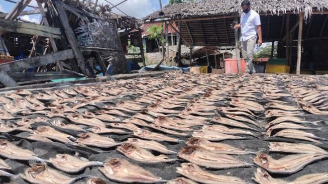 Produksi Ikan Asin di Aceh Timur Turun Drastis, dari 10 Ton Kini Hanya 200 Kg, Ini Penyebabnya