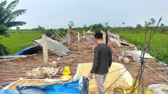 Angin Kencang Memorakporandakan Lamongan, Kandang Ayam Rata dengan Tanah