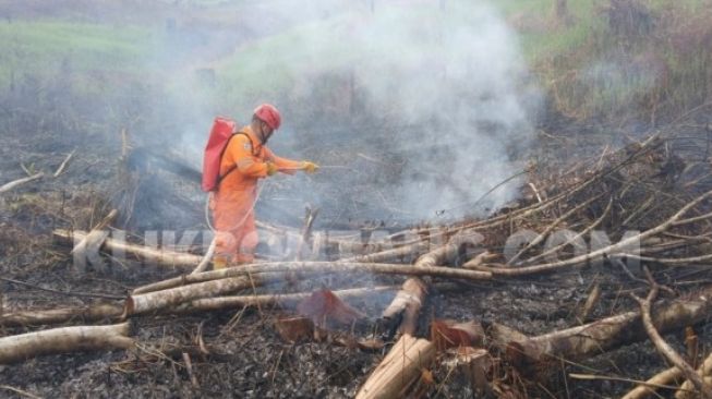 30 Hektare Lahan Terbakar, Kapolda Kalsel Sebut Ada Perusahaan Tutup Mata soal Karhutla di Banjar Baru