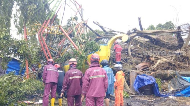 Diguyur Hujan Deras, Beringin di Denggung Tumbang