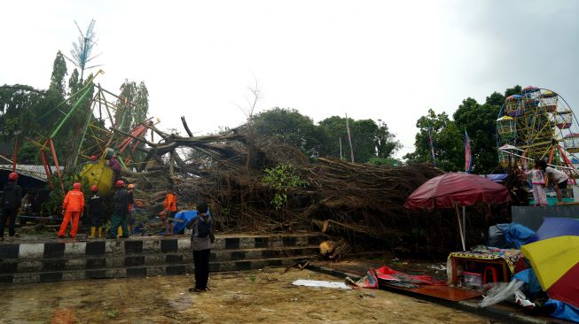 Petugas berupaya menyingkirkan pohon beringin yang tumbang di Lapangan Denggung, Sleman, D.I Yogyakarta, Senin (13/6/2022). ANTARA FOTO/Andreas Fitri Atmoko