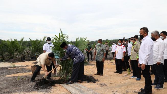 PTPN V Asistensi Ratusan Petani Mitra Sertifikasi ISPO-RSPO