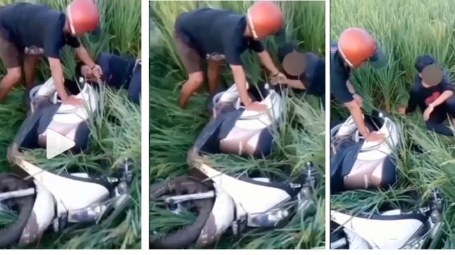 Viral Honda Scoopy Terperosok di Sawah, Warga Syok Temukan Pria Tertidur Pulas di Dekat Motor