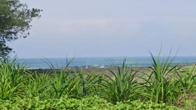 Pantai Glagah (Suara/Hiromi)