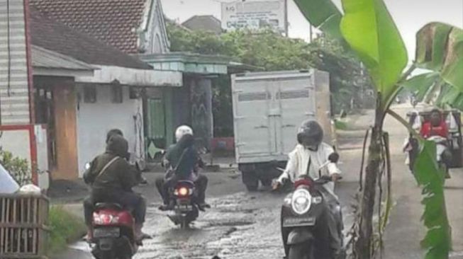 Warga Desa di Banyuwangi Tanam Pohon Pisang di Jalan, Bagini Kata Dinas PU 