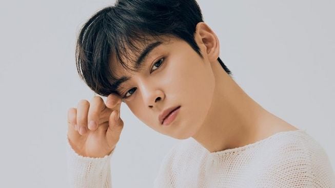 Bocoran Harga Tiket Fan Meeting Cha Eun Woo di Jakarta