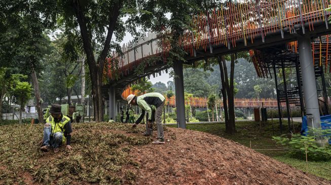 Pekerja merawat tanaman di Tebet Eco Park, Jakarta, Rabu (15/6/2022). ANTARA FOTO/Aprillio Akbar

