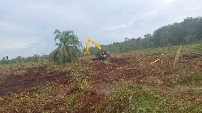 Curhat Petani soal Kebun Sawit Diserobot Perusahaan HTI di Riau: Ini Tanah Saya!