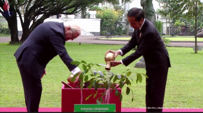 Tiba di Istana Bogor, Presiden Republik Federal Jerman Diajak Jokowi Tanam Pohon Cendana