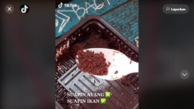 Ikan gurame disuapi pemiliknya kue brownies. [TikTok]