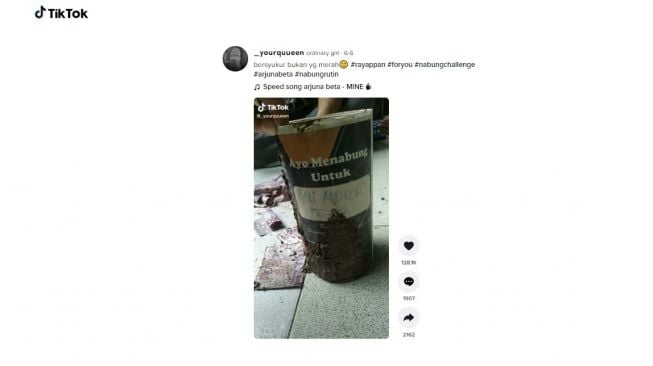 Uang di celengan dimakan rayap. [TikTok]