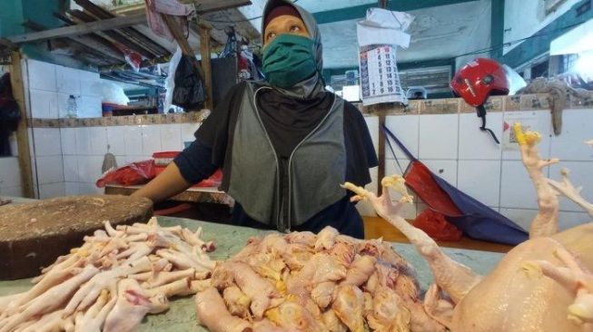 Penjual daging ayam di Balikpapan. [Istimewa]