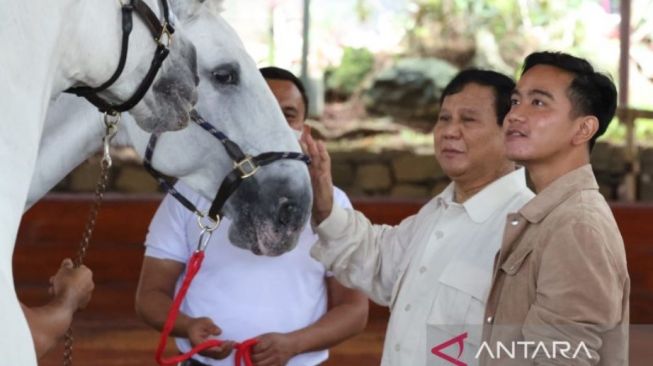 Ketua Umum DPP Partai Gerindra Prabowo Subianto saat mengajari Wali Kota Surakarta Gibran Rakabuming Raka berkuda di Bukit Hambalang, Desa Bojong Koneng, Kabupaten Bogor, Jawa Barat, Sabtu (18/6/2022). [ANTARA/HO-Tim Media Prabowo Subianto]