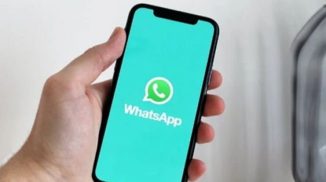 Awas! Ada Jeda Waktu Dua Hari pada Fitur Delete Message di WhatsApp